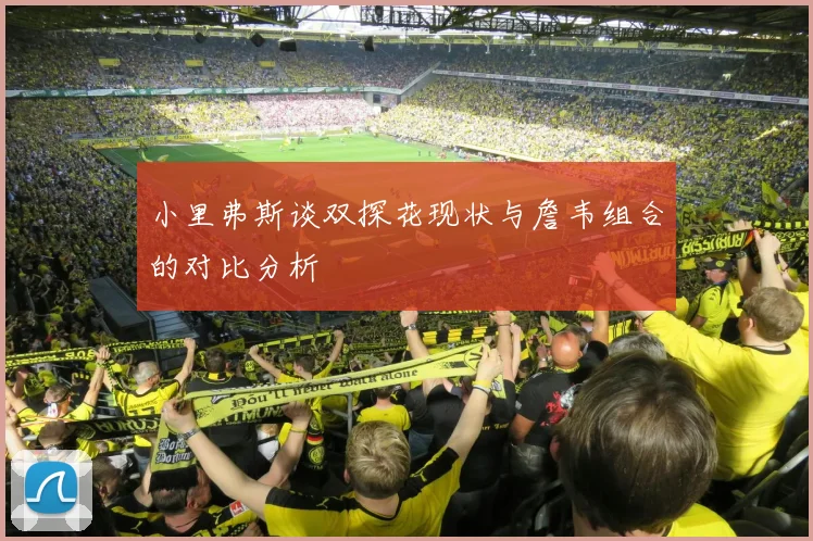 小里弗斯谈双探花现状与詹韦组合的对比分析