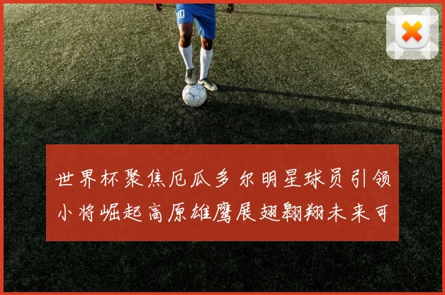 世界杯聚焦厄瓜多尔明星球员引领小将崛起高原雄鹰展翅翱翔未来可期