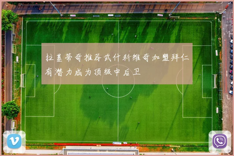 拉基蒂奇推荐武什科维奇加盟拜仁有潜力成为顶级中后卫